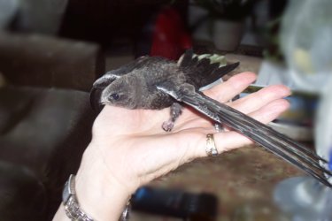 Gleichgewichtsbungen