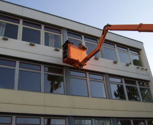 Kasten des Rotschwnzchens