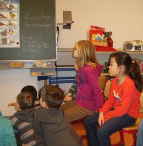 Wintervgelunterricht