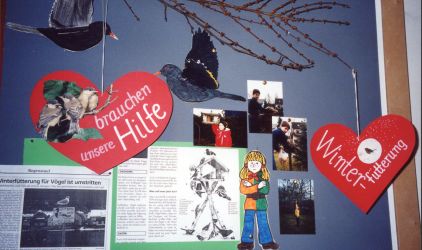 Problematik der Ftterung im Winter