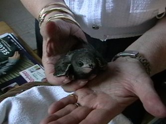 So fhle ich mich wohl