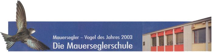 Die Mauerseglerschule