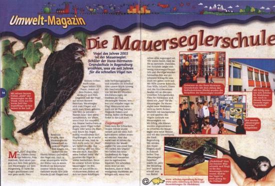 Die Mauerseglerschule