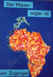 Der Mauersegler ist ein Zugvogel