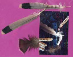 Meditation ber Vogelfedern