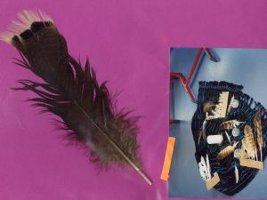 Meditation ber Vogelfedern