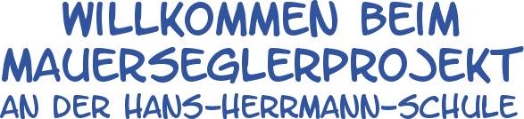 Willkommen beim Mauerseglerprojekt an der Hans-Herrmann-Schule